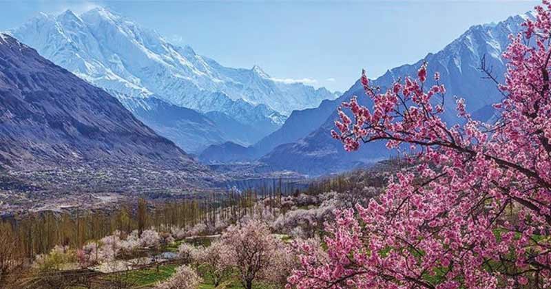 hunza nagar gilgit spring blossom tour